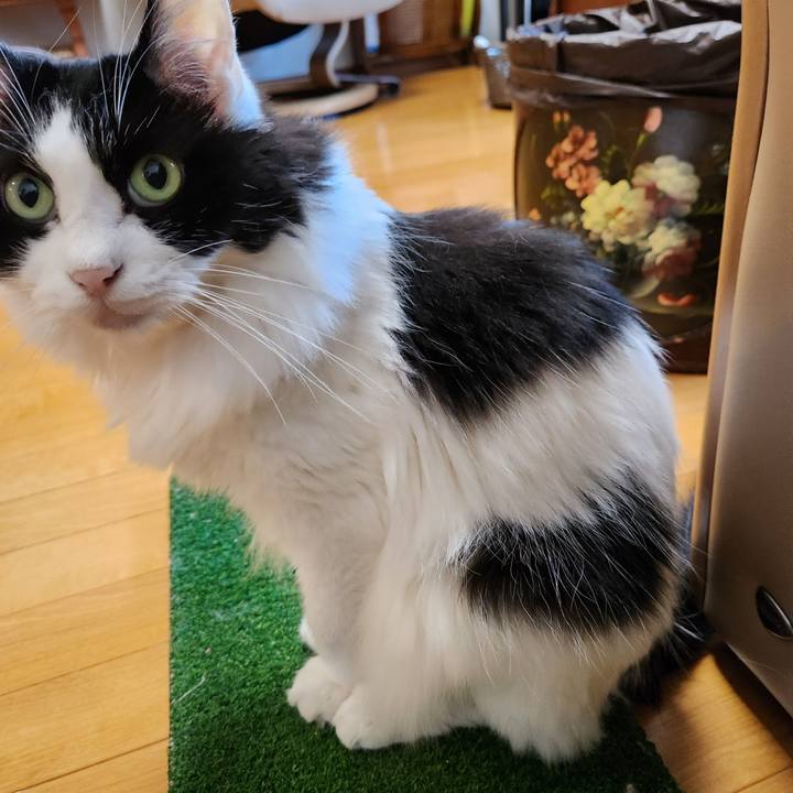 5b81f845 de0e 4cee ac14 a31d4bcabd68 1733536202981