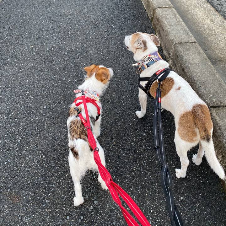 5b820e6c 83e3 42db 87de 15b2ab5c808e 1628457464515