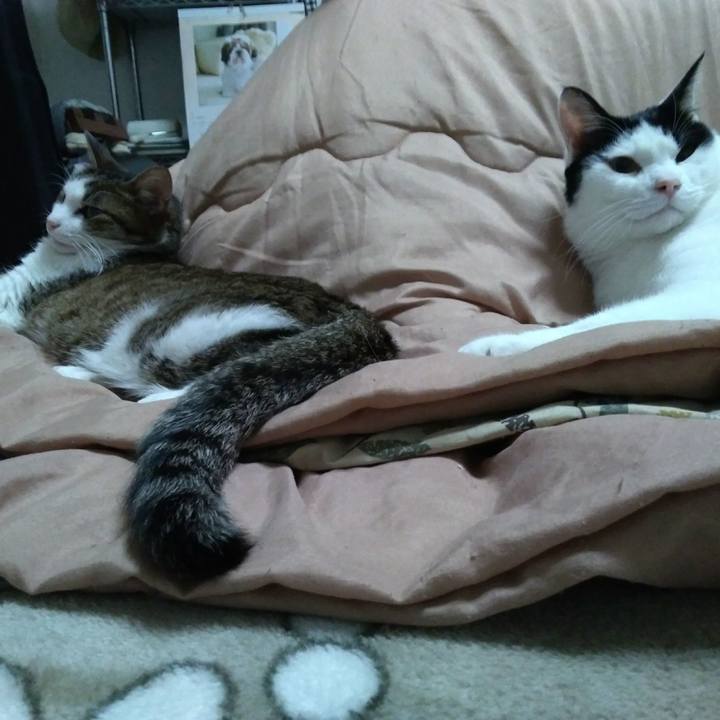 5b827651 d4af 4dbc 815f ee2c60794f80 1521363421399