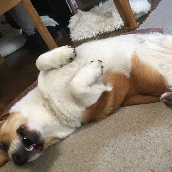 5b828540 6b49 4f40 add4 7584eea38a33 1616722217453