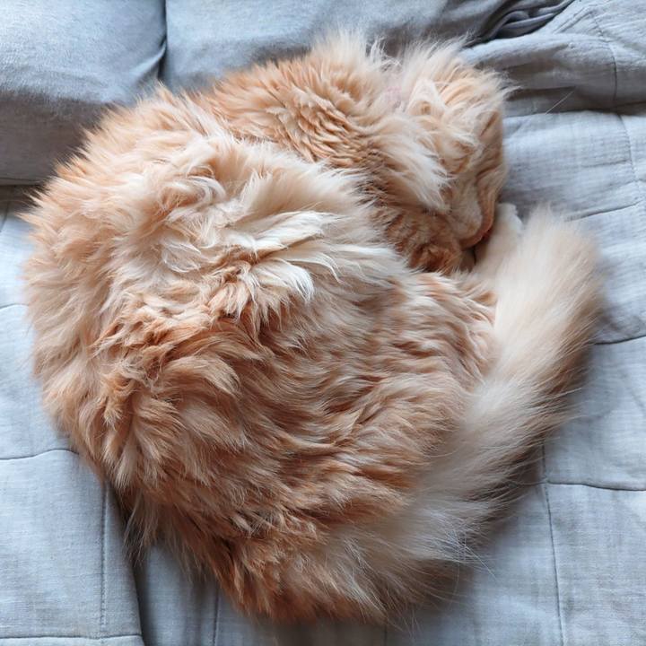 5b82b2f3 edf2 4137 ac19 6bdb59017214 1678583519127