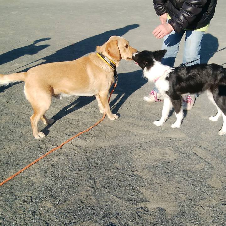 5b82bc2b 9494 4ec0 bf1c 744961c8ba7b 1512610149888