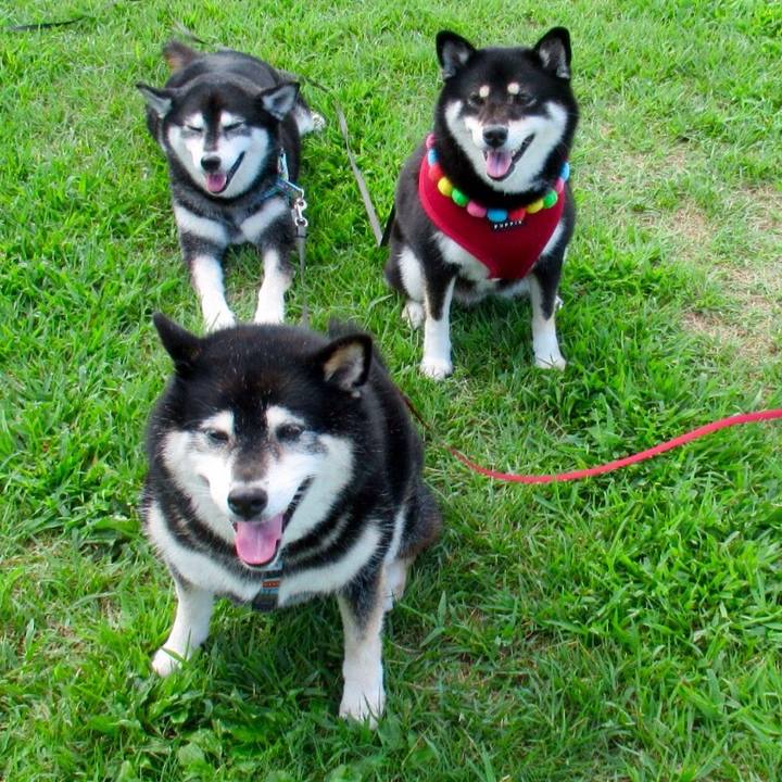 5b82ca91 fb39 4edc 9de0 c08c18e44210 1630197042017