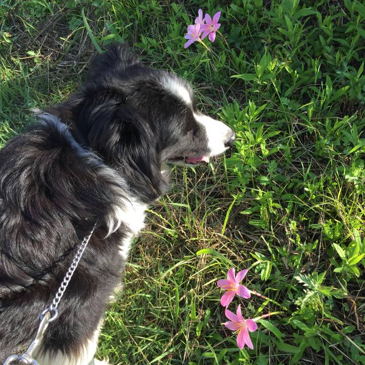 5b833402 720a 4cdf bbe6 6a091844ec97 1560386505970