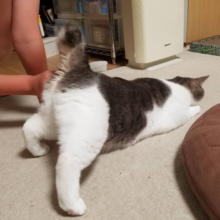 5b83613f 3751 411b 999d b9e5deeb4c6c 1541165621258