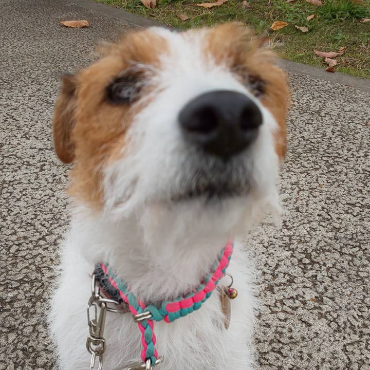 5b838f48 1e3c 494c 84d5 de93124e86eb 1575611006658