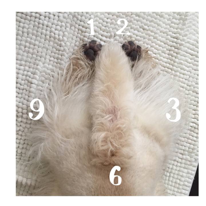 5b839f44 84ff 427d b1e9 0e430f8d4791 1577674592311