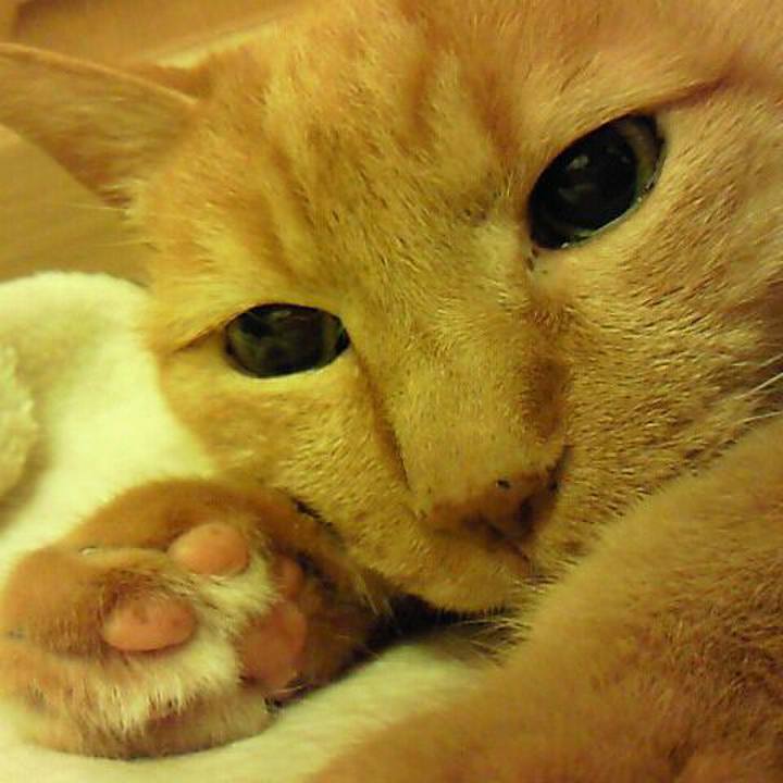 5b83c79b 5405 440a aff4 bb8ac62bbf27 1523691379907