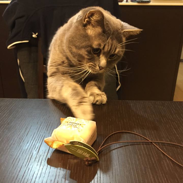 5b847798 9583 483d b579 cb68084c7a92 1524785433261