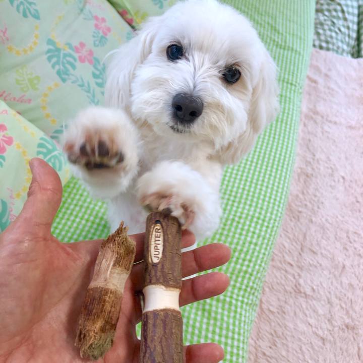 5b849684 73ef 419a b237 1f20c3d323fc 1561955486784