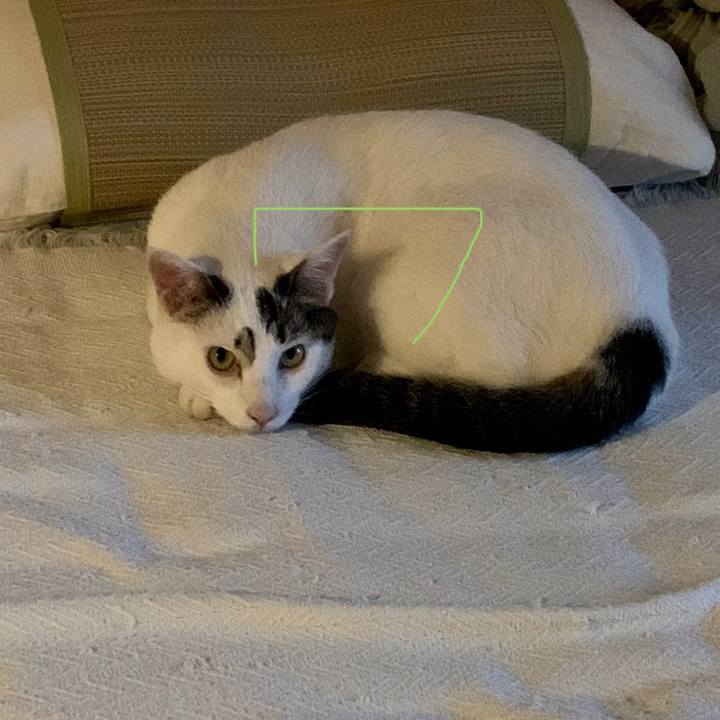 5b849d32 3d76 492e aa5e 548d944d0c25 1687949502380