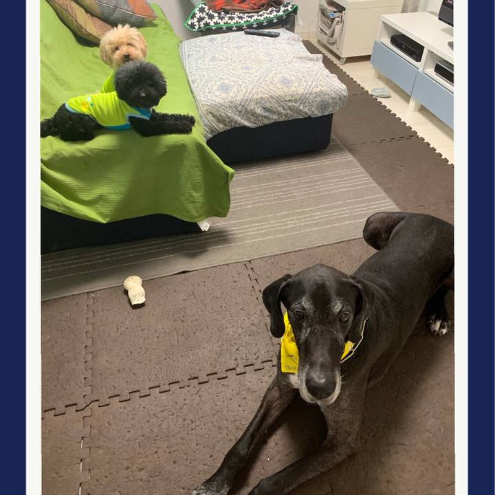 5b84a2ac dc55 42a0 a320 a237eaf221fc 1565216094115