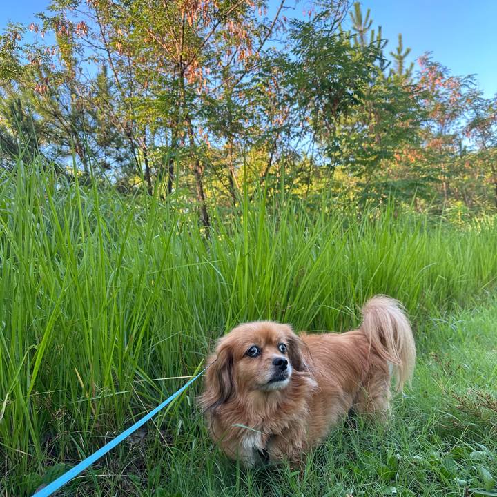 5b84b76e 6da0 49a5 b39e 03406162d318 1690147268061