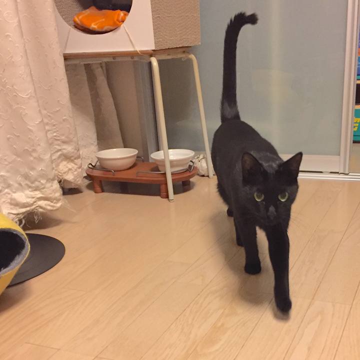 5b84bb9d ae53 4f82 acc1 06c08332c973 1508424279840