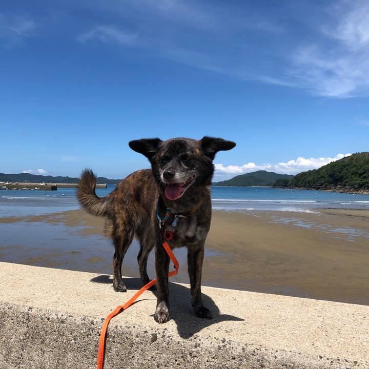 5b84c805 f2e3 4571 bdfc 70c7190d6843 1565597708104