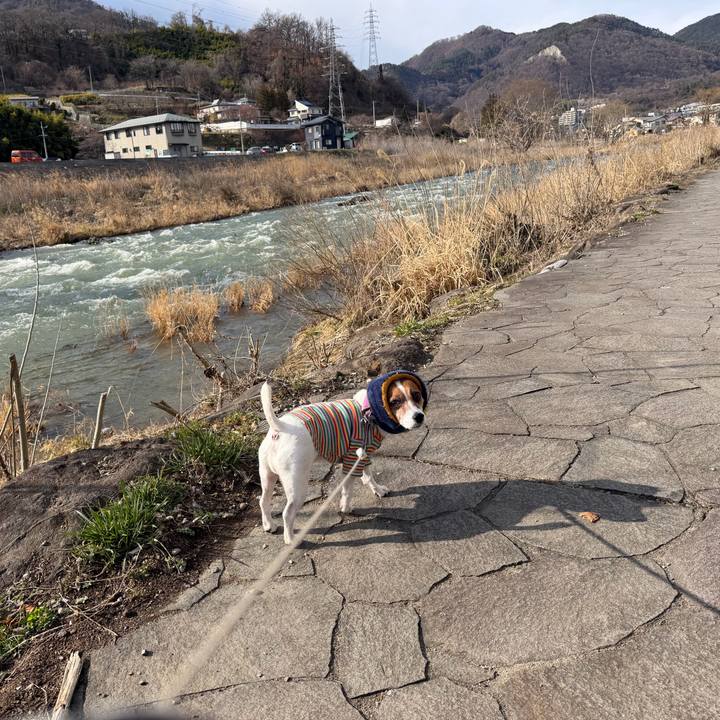 5b84dcf2 6e7a 4016 8dc6 bdd7ac5bc48e 1772869546518