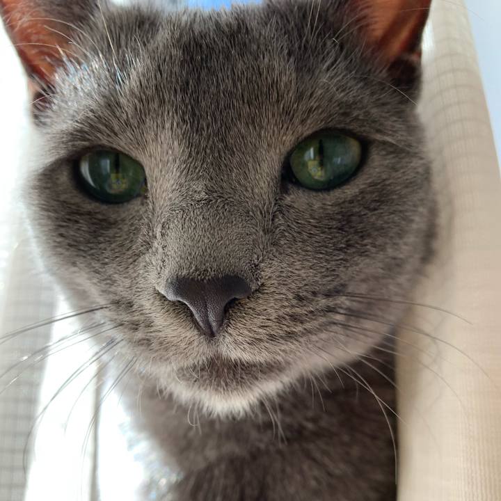 5b85261b 029e 4b8e abb0 a0ebb840925b 1579584337243