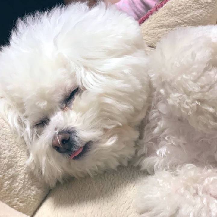 5b8553ec 1554 40d6 a31b 6b7c27525c55 1643712205395