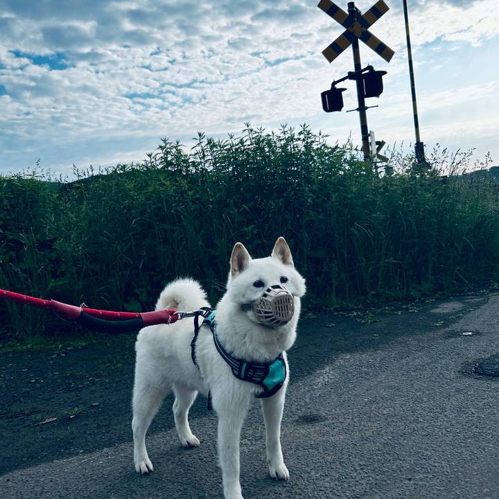 5b855d0d 367c 4c96 b31f 4078e70699d6 1686000088829