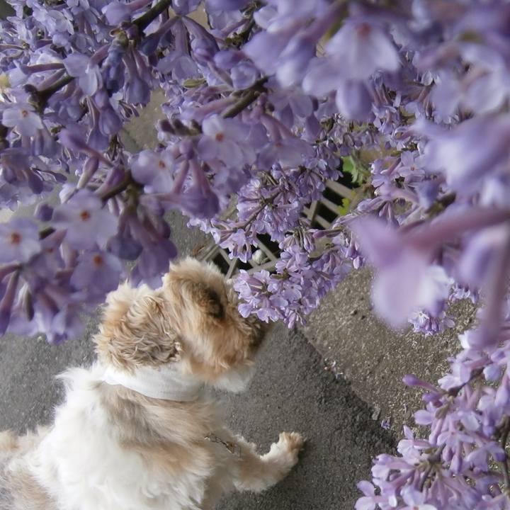 5b85c8bf 6e94 42d3 8879 46767eab599d 1522291633125