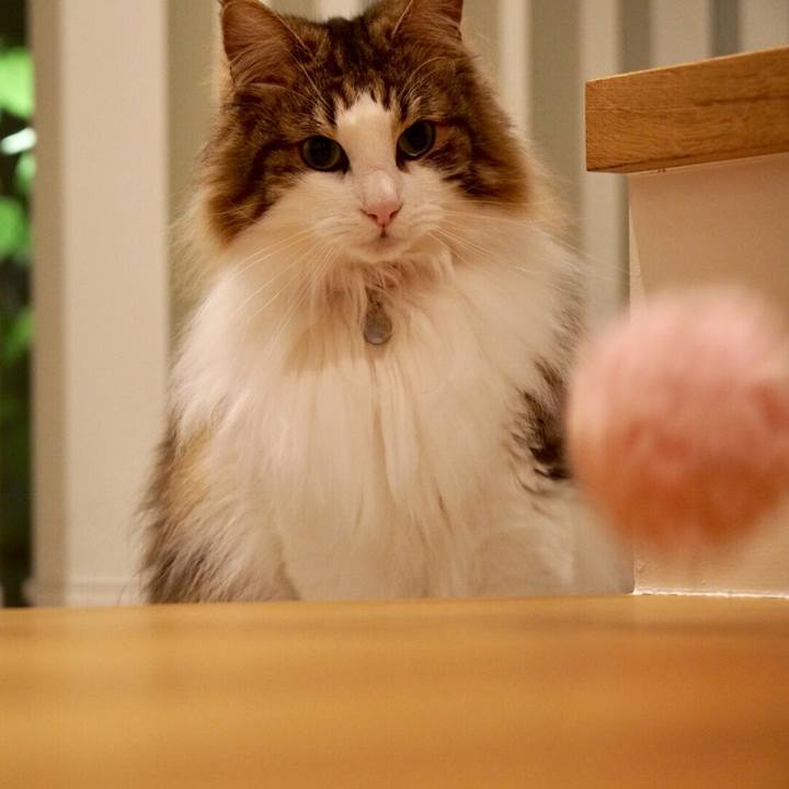 5b85d046 22e1 4d03 915c 2403088ae427 1558530678846