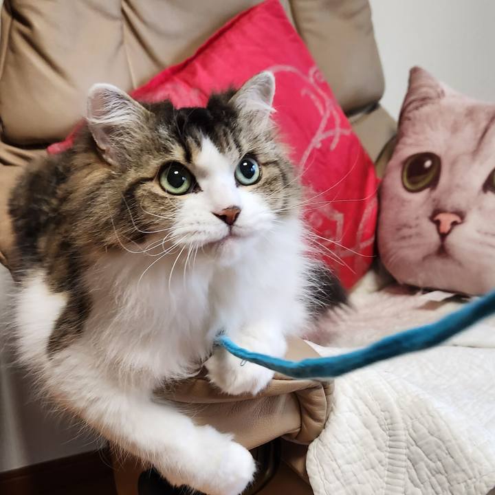 5b85d9df b659 4331 a331 ce0916b0a9f7 1738791106075