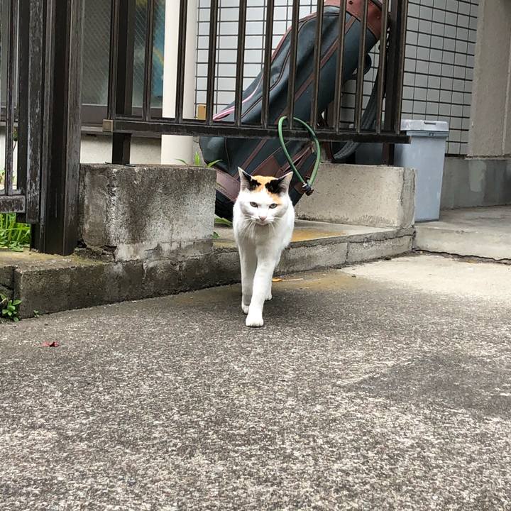 5b85e810 cd29 4a79 8236 b13a9be401a7 1589716126782