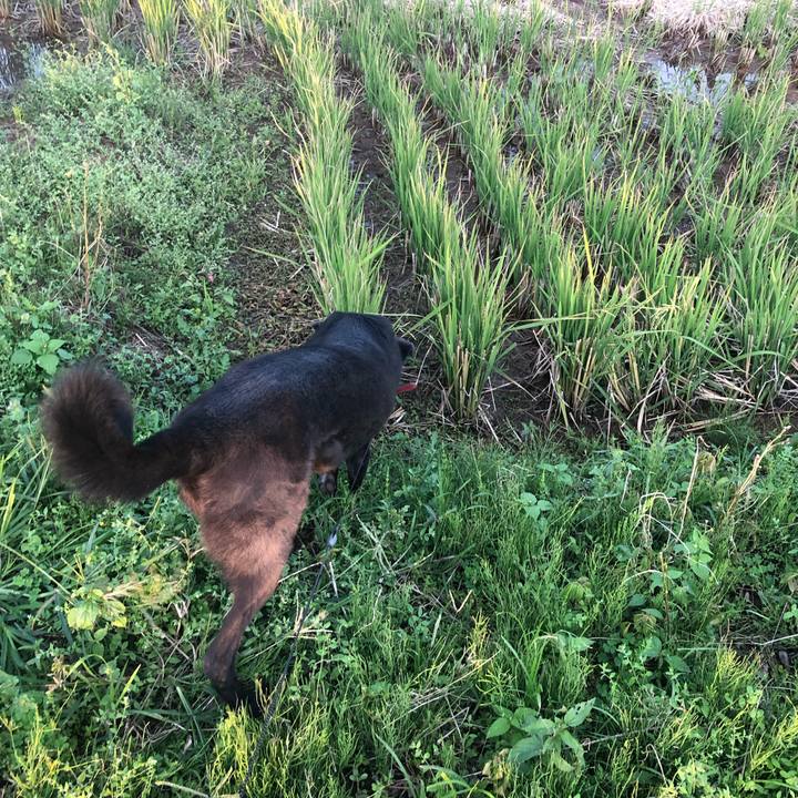 5b861af3 dd52 4ba2 98cd ab85c00de859 1571816148148