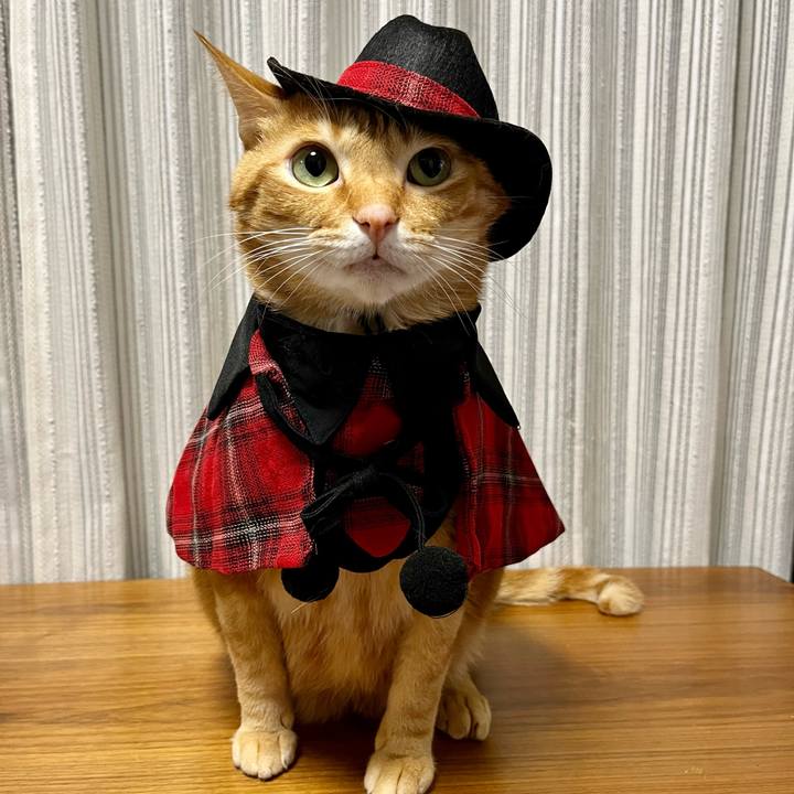 5b862a4c ee36 4771 9719 9a0858602ea6 1638185769721