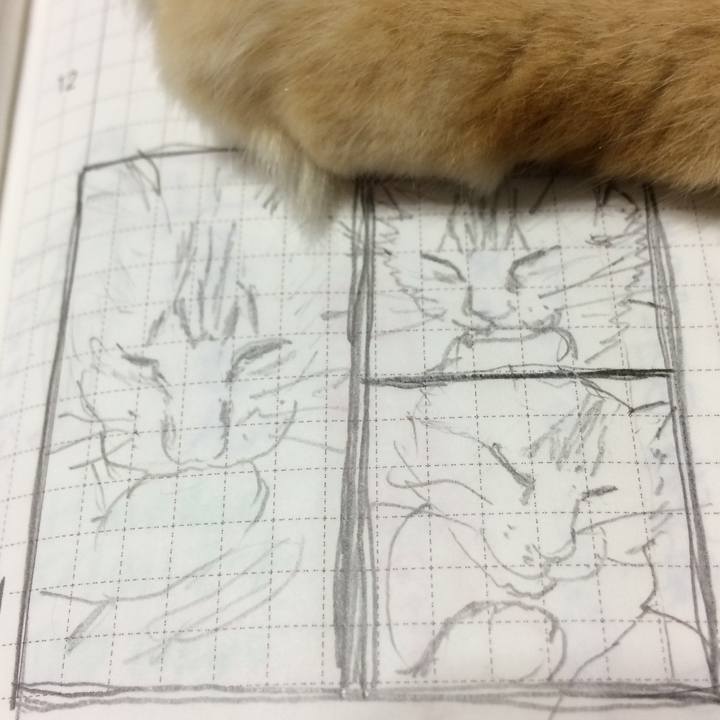 5b864470 2c19 49a7 b078 957454775389 1538924445418