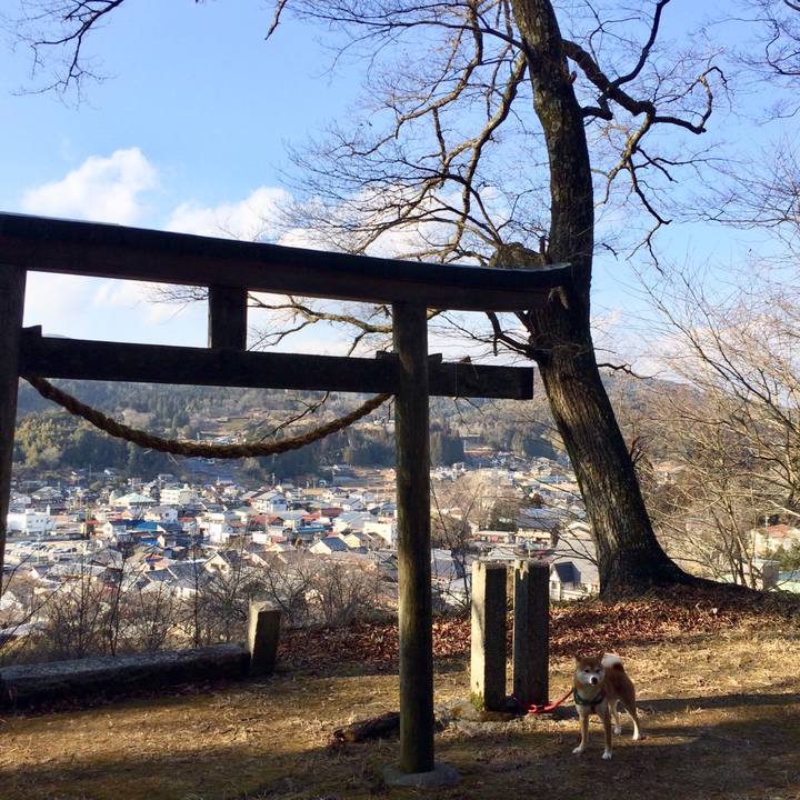 5b864988 87d3 4330 af00 7859260c2fb0 1516691987356