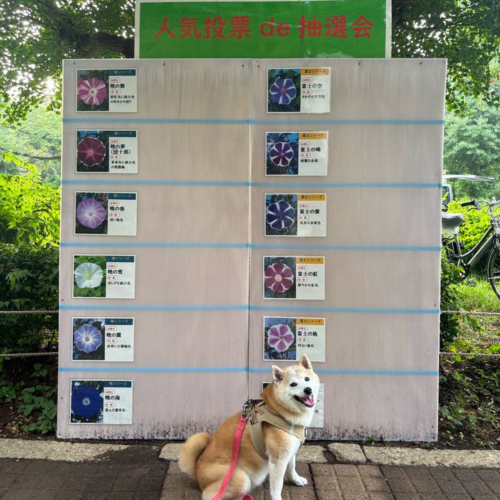 5b86513c 1c00 4a85 b7ee 7043e353e41e 1751661917342