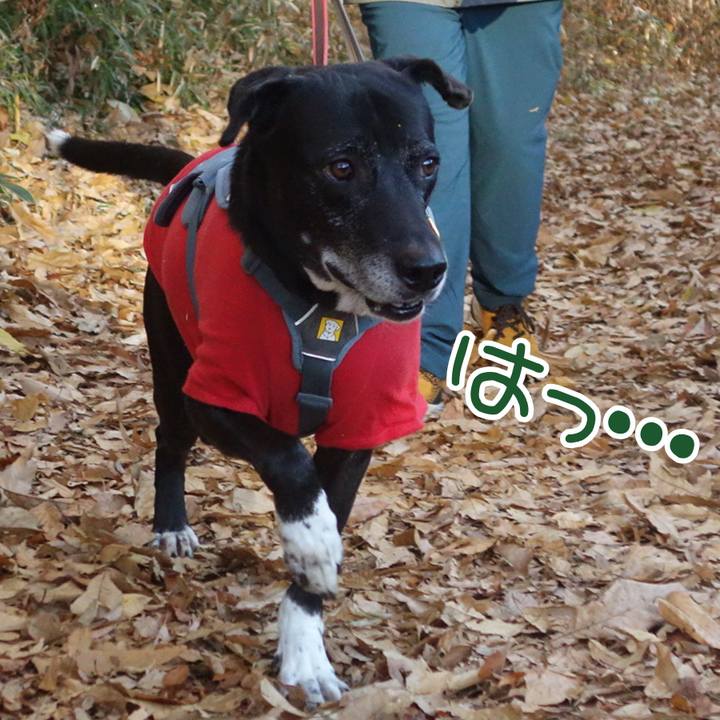 5b8675d0 82d9 4ddc 9dbf 50b92011dbb7 1734482595872