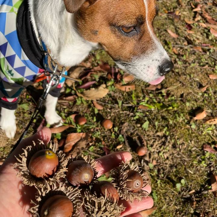 5b86caca d9a0 45f6 91ad cdc56791ea17 1634810453629