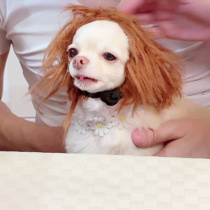 5b86e642 b409 4cce bb3f a6d5ea3749b5 1686546719288