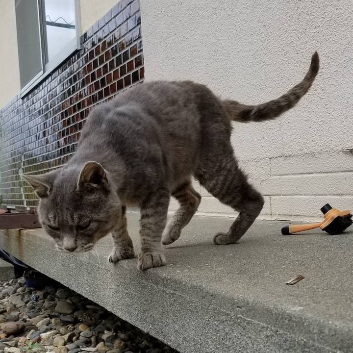 5b86f344 ff41 42fb 8ece 95e490d0eb08 1536571118235