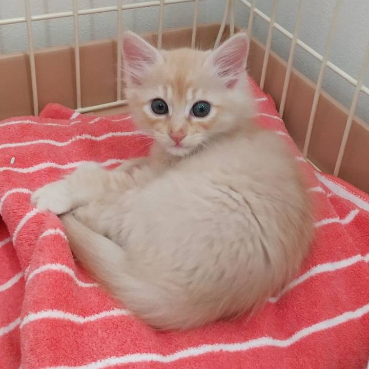 5b870671 656a 4457 985c cda34042f179 1602574742511