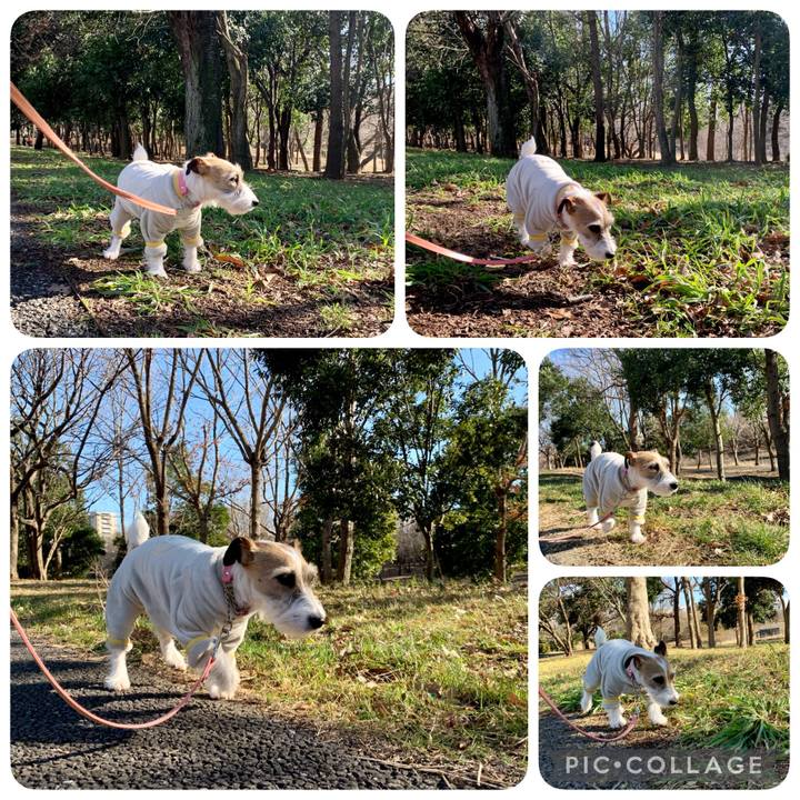 5b870fde bc35 48a0 a959 6a812442e6ae 1613462391114