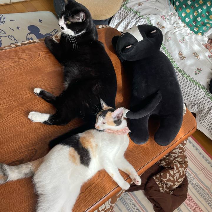 5b872232 b022 4ba9 854a e9533893c188 1668563077647