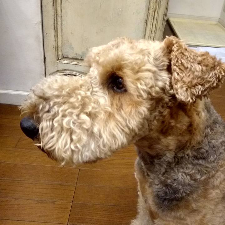 5b875be7 c2d2 4f36 964f 79c565f47f20 1588334612752