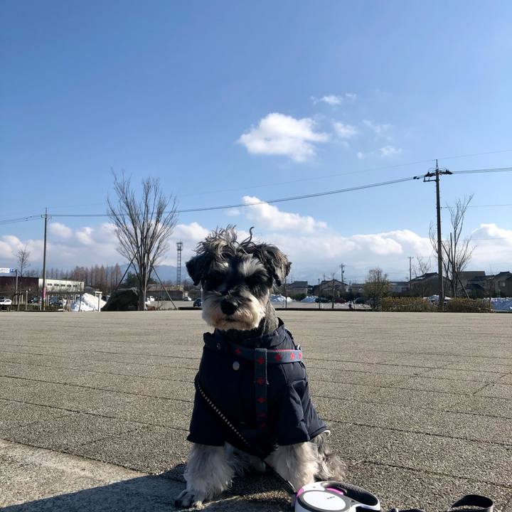 5b877446 c2ca 4967 bc53 bb67aceab722 1641793494400