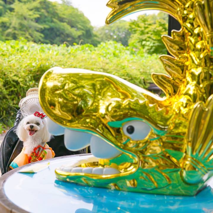 5b8785e6 e69a 4447 9a26 56f24eaee066 1703211683850