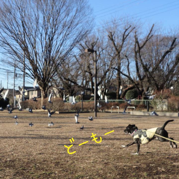 5b87875c decf 4a14 a4f4 509137433591 1645058957366