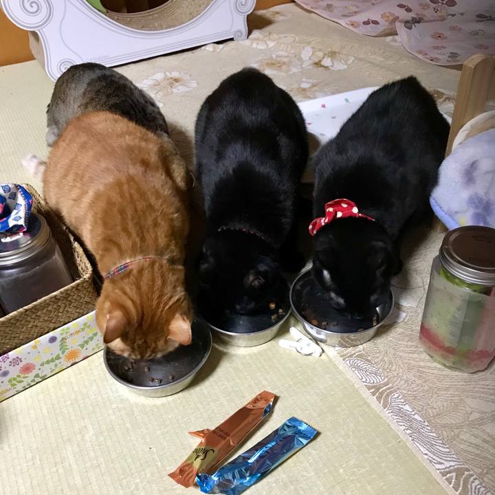 5b87b1c1 248e 490f ad40 cba68b1a1b44 1547556452673