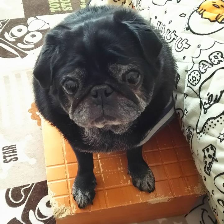 5b87d188 0889 417c 977d 6393b66112d6 1559619539528