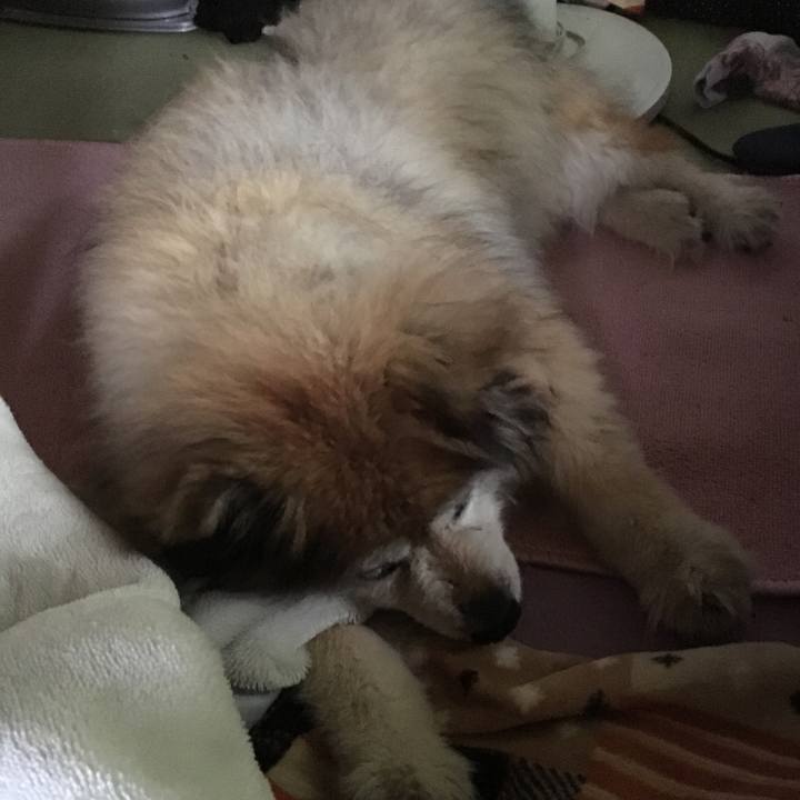 5b87e3c4 4680 415c 87a4 757afa03a778 1604805749375