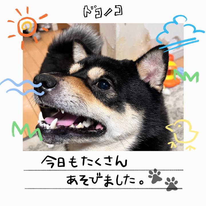 5b880a05 b541 4f55 aac6 0858662a28fc 1755187992525