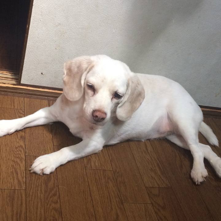 5b881def da33 4af0 a23d 380d27af1190 1578486667251