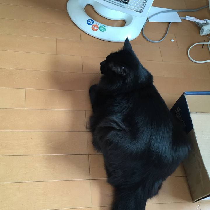 5b8860af 07b8 4bfb b94c 97187d68f54a 1556321511260