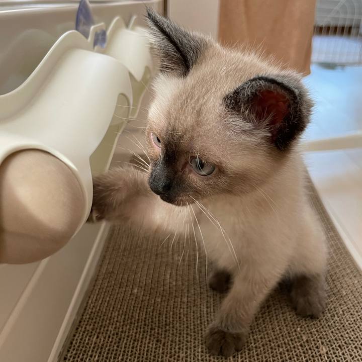 5b8879ae 2fe4 412a 8c0d f042f330952b 1688334274194